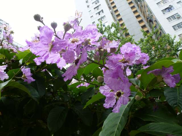 CHINE Juin 2013 844_PhotoRedukto.jpg