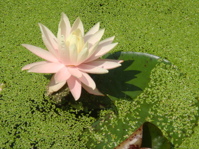 DSC05108.JPG