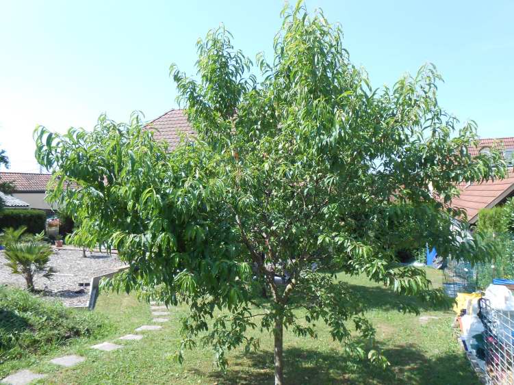 DSCN0740.JPG