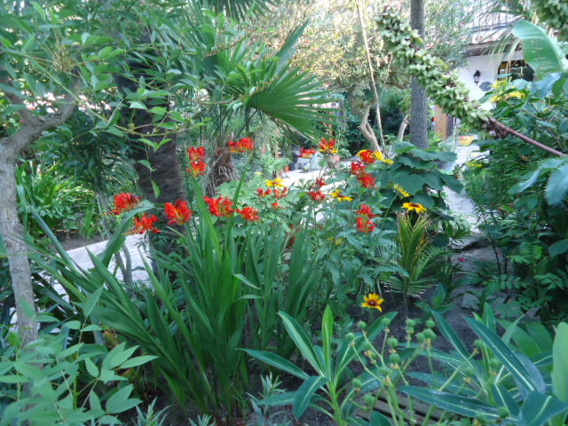 DSC01372.JPG