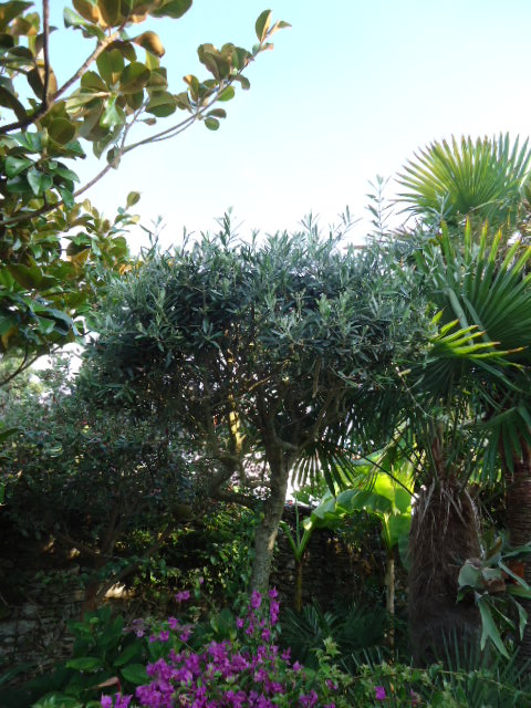 DSC01368.JPG