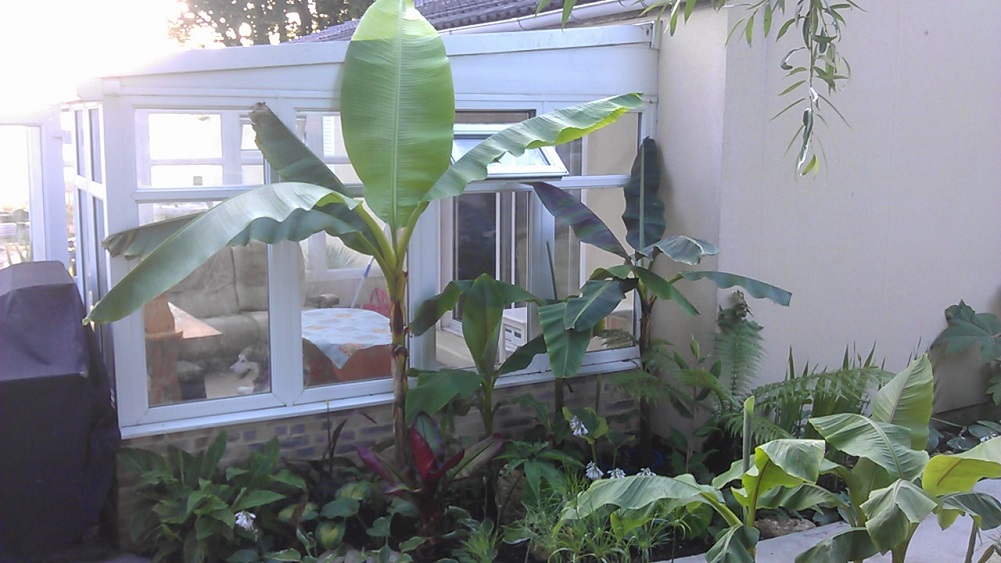 IMAG0494.jpg