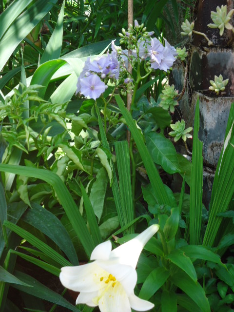 DSC01374.JPG