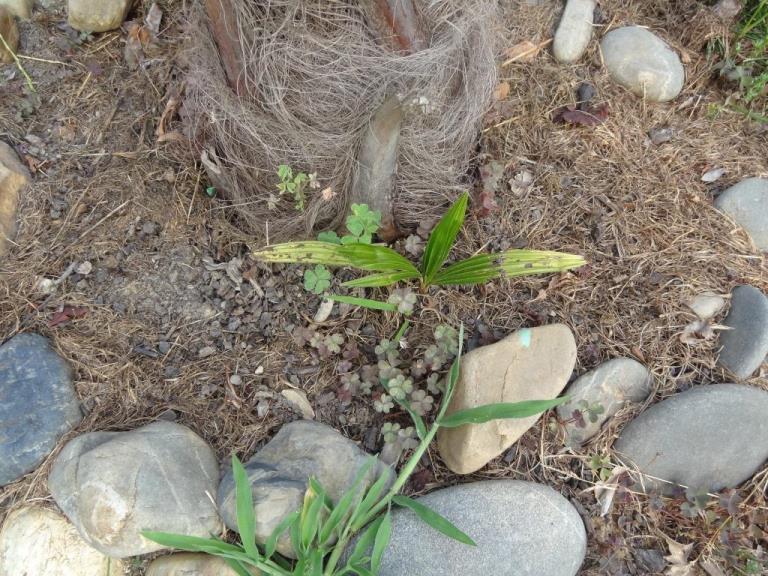 DSC03914.jpg