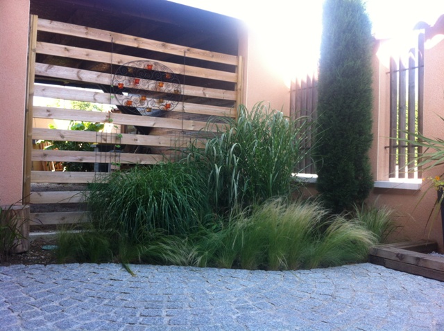 massif de graminées dans le patio