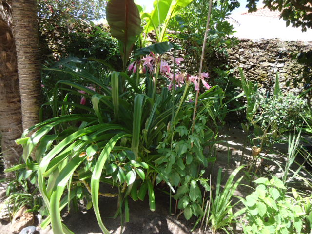 DSC01390.JPG