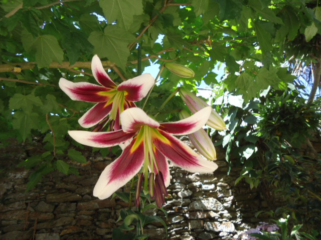 DSC01387.JPG