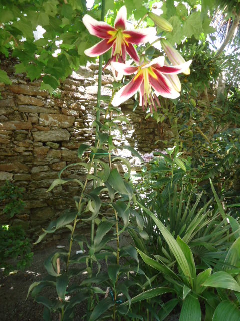 DSC01389.JPG