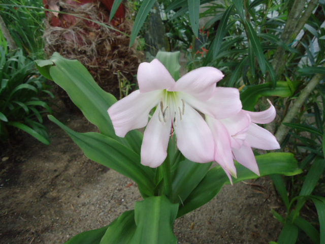 DSC01383.JPG