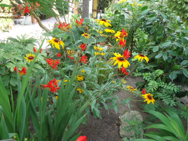 DSC01385.JPG