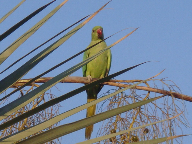 DSC05145.JPG
