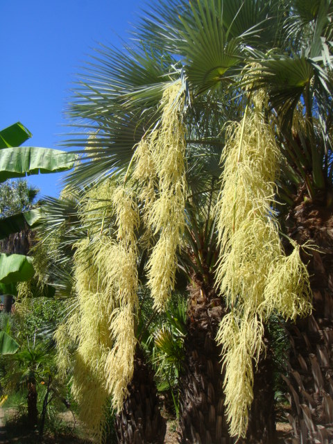 DSC05165.JPG