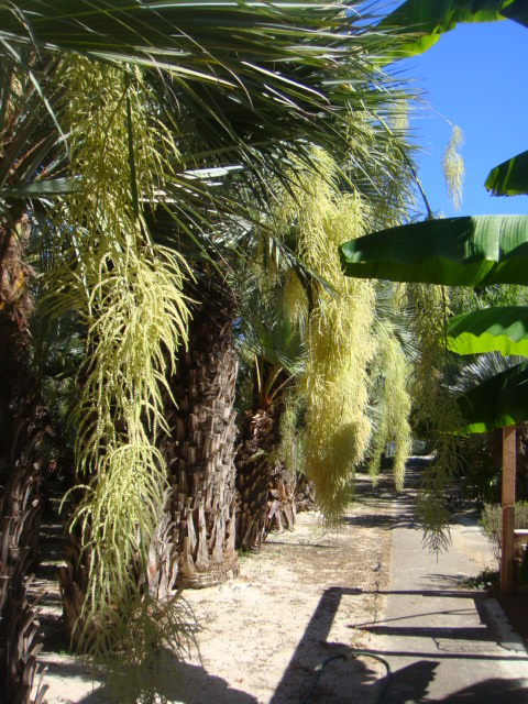 DSC05164.JPG