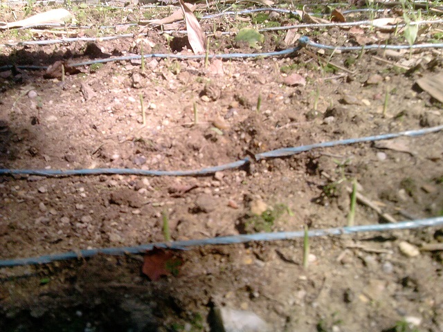P010813_15.55.jpg