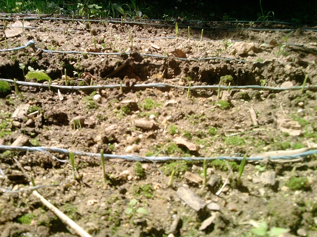 P010813_15.58.jpg