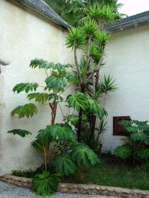 HPIM1424.JPG