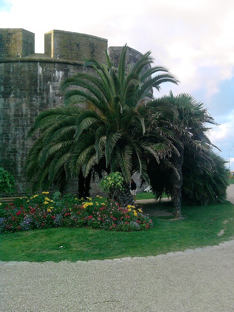 P030813_21.14.jpg