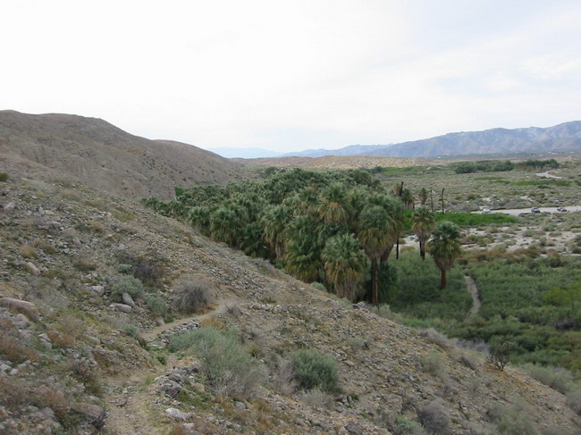 DesertHotS101-0192_IMG.jpg