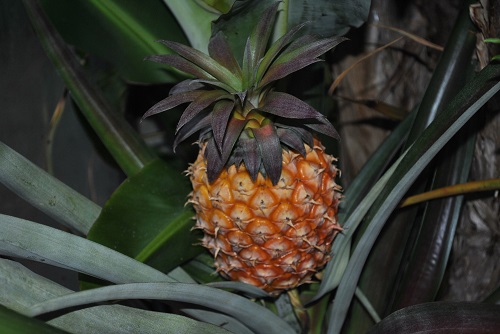 DSC_1360.JPG