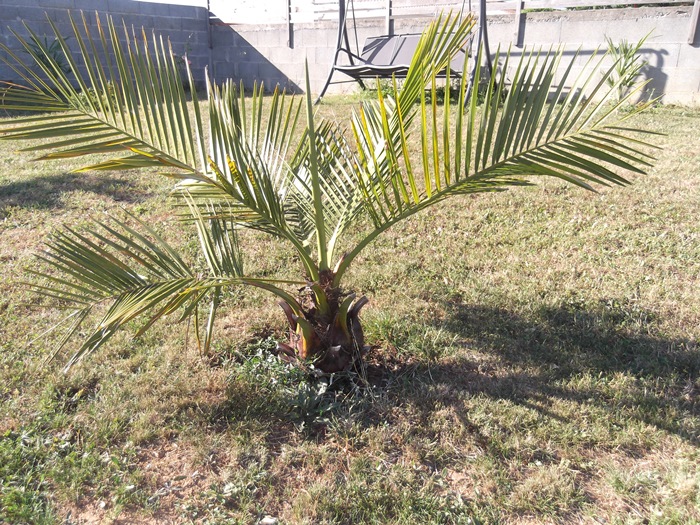 DSCF2599.JPG