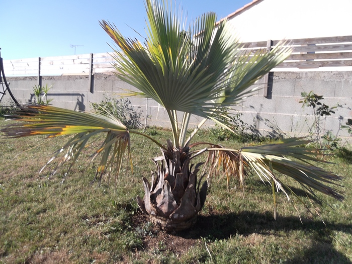 DSCF2598.JPG
