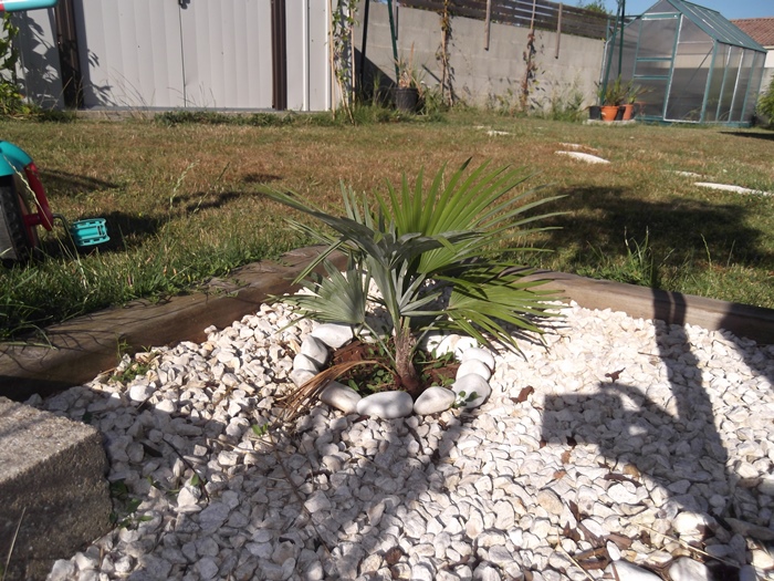 DSCF2596.JPG