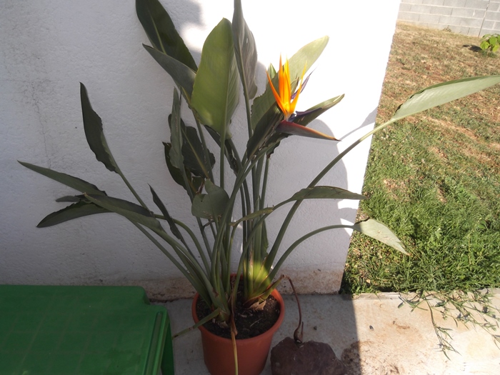 DSCF2604.JPG