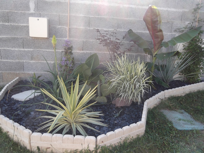 DSCF2601.JPG