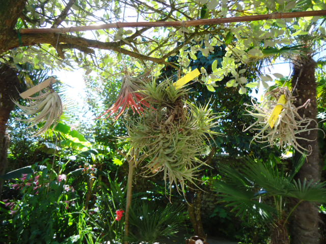 DSC01424.JPG