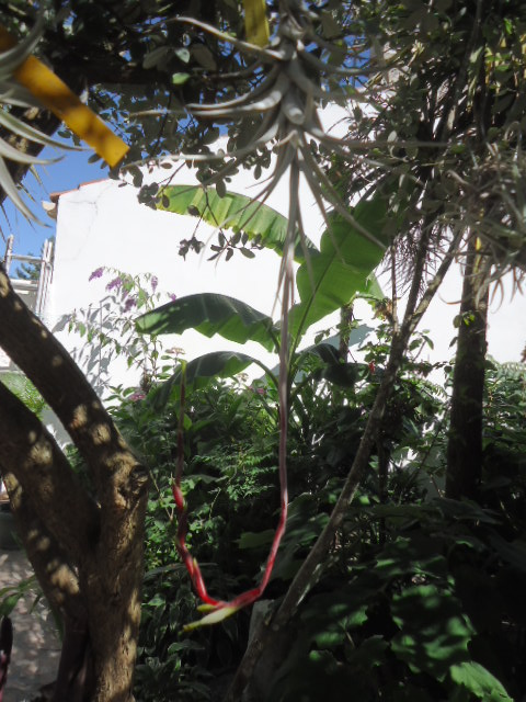 DSC01416.JPG