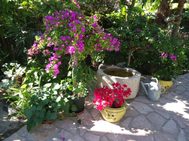 DSC01426.JPG
