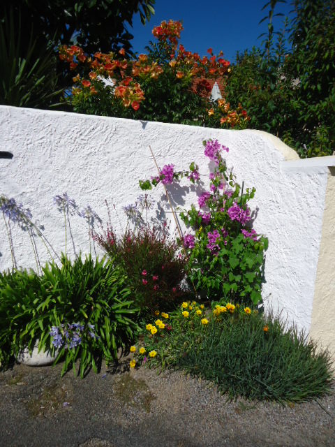 DSC01425.JPG