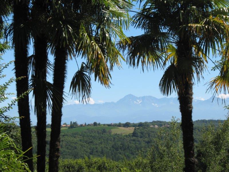 Les Pyrénées en fond.