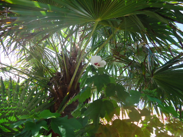 DSC01410.JPG