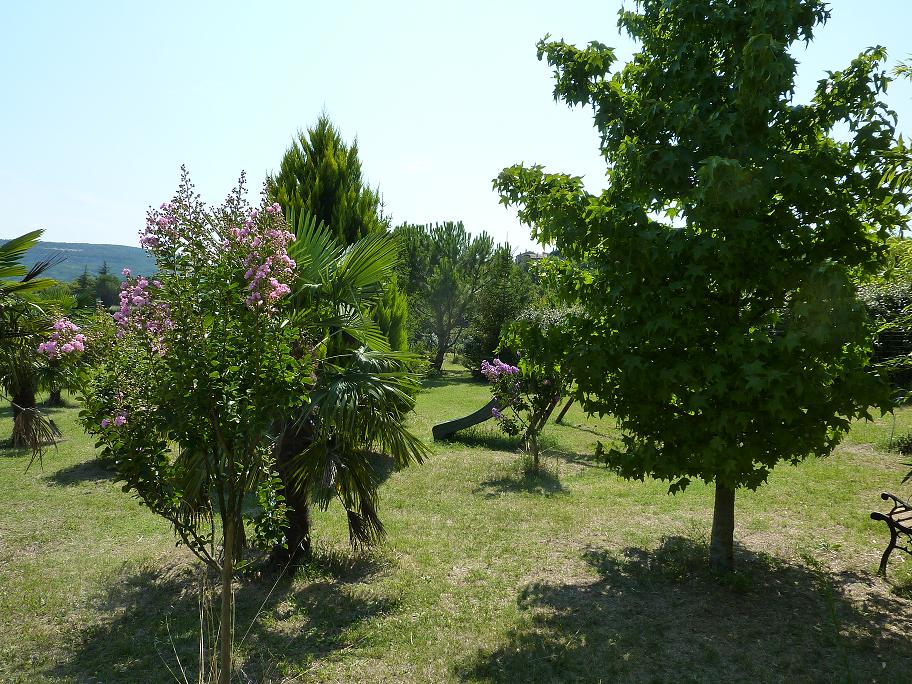P1050923bis.jpg