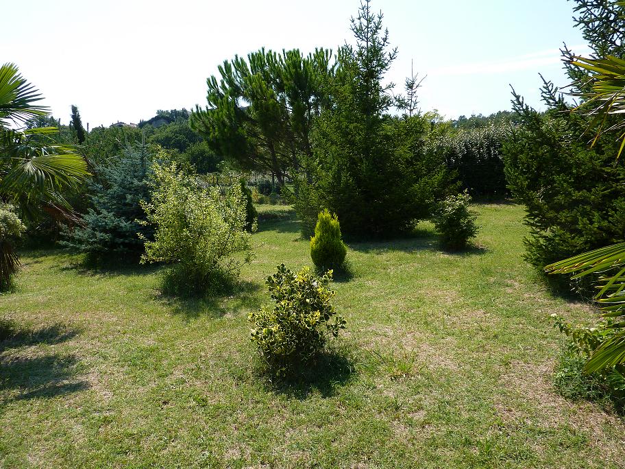 P1050924bis.jpg