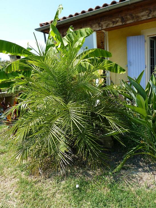 P1050929bis.jpg