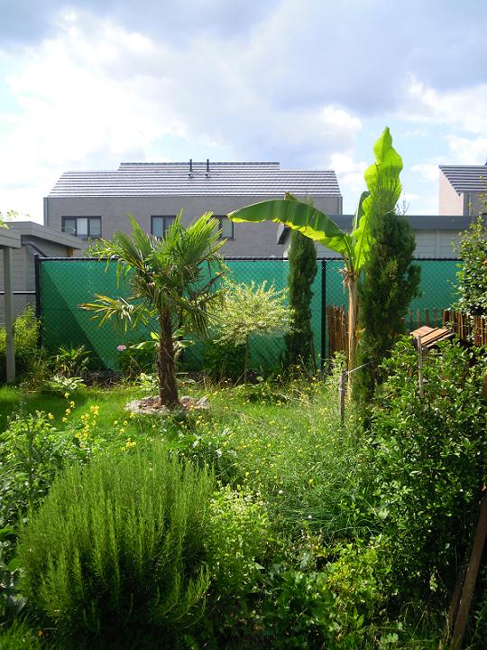 DSCN3852.jpg