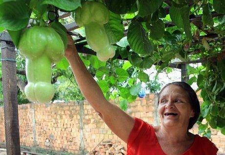 fruit de la passion.JPG
