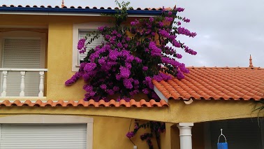 IMAG0566.jpg