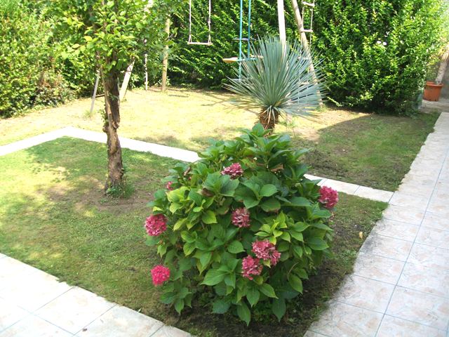 Photo 1038.jpg