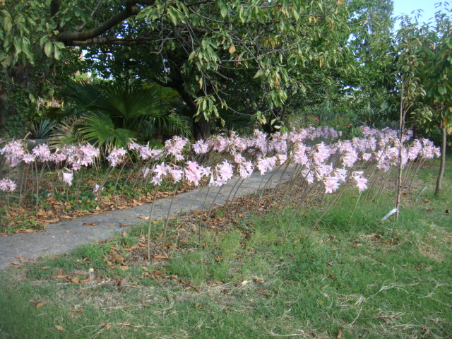 DSC05199.JPG