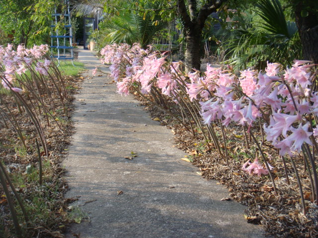 DSC05201.JPG