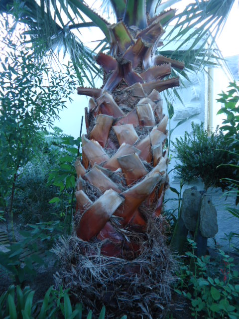 DSC01452.JPG