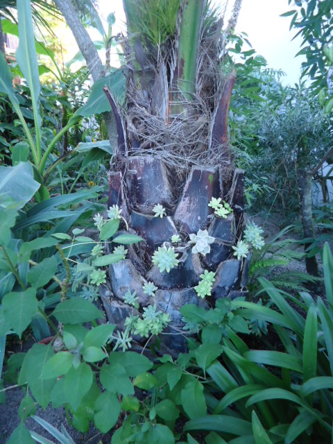 DSC01451.JPG