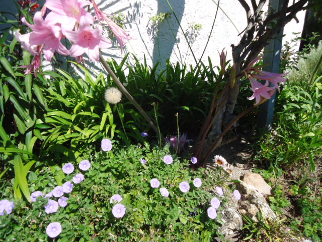DSC01459.JPG
