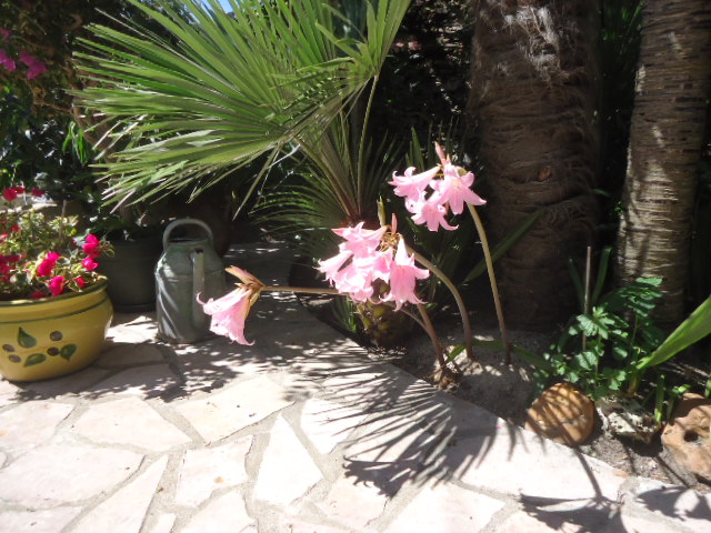 DSC01458.JPG