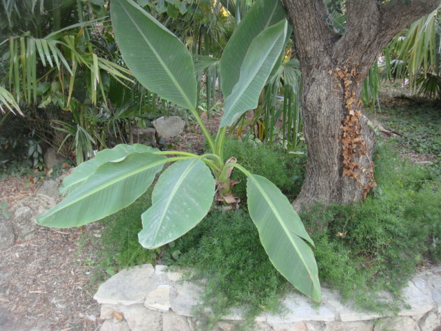 DSC05211.JPG