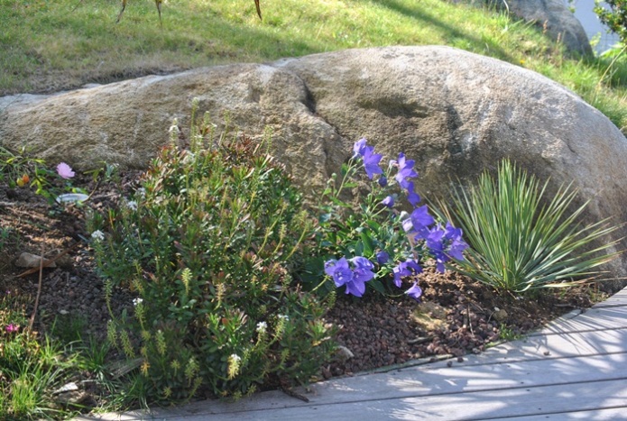 parc31.jpg