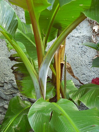 012.11 août 2013 (2).JPG